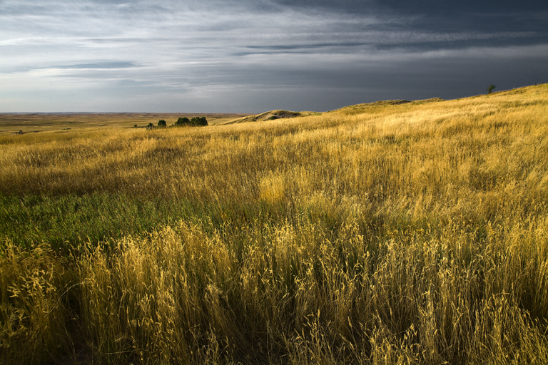 Prairie