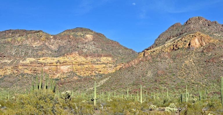 Organ Pipe Cactus National Monument