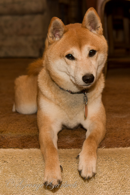Semimaru in the Stairs