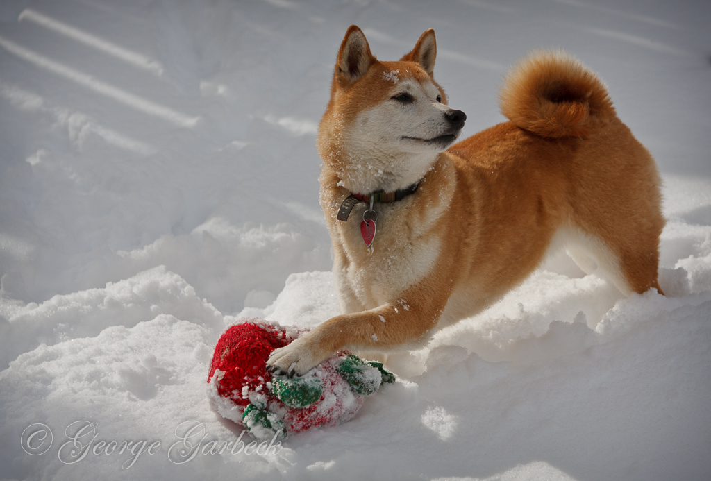 Semimaru Posing