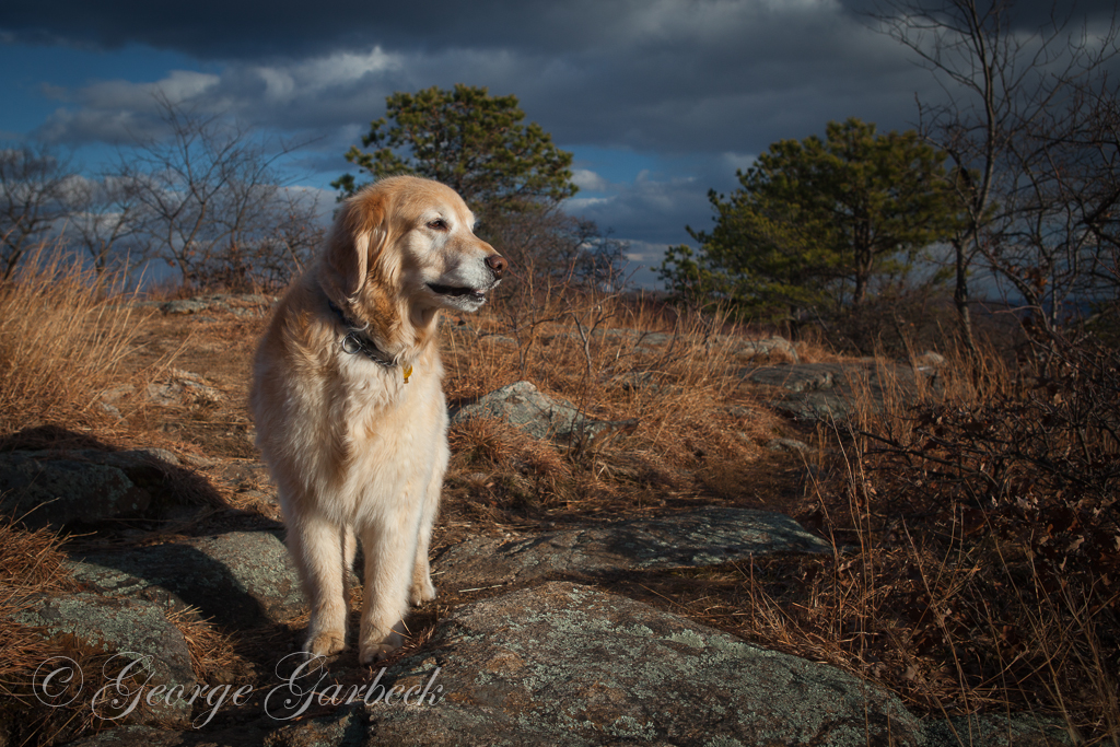 On Black Mountain