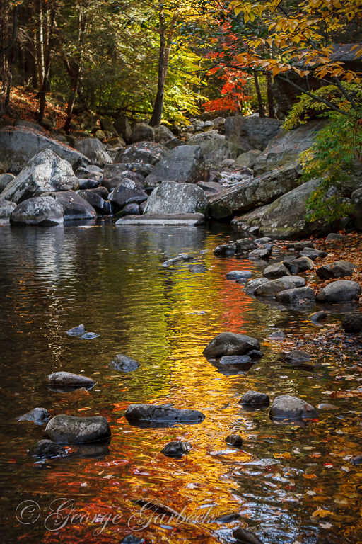 October at Stony Brook