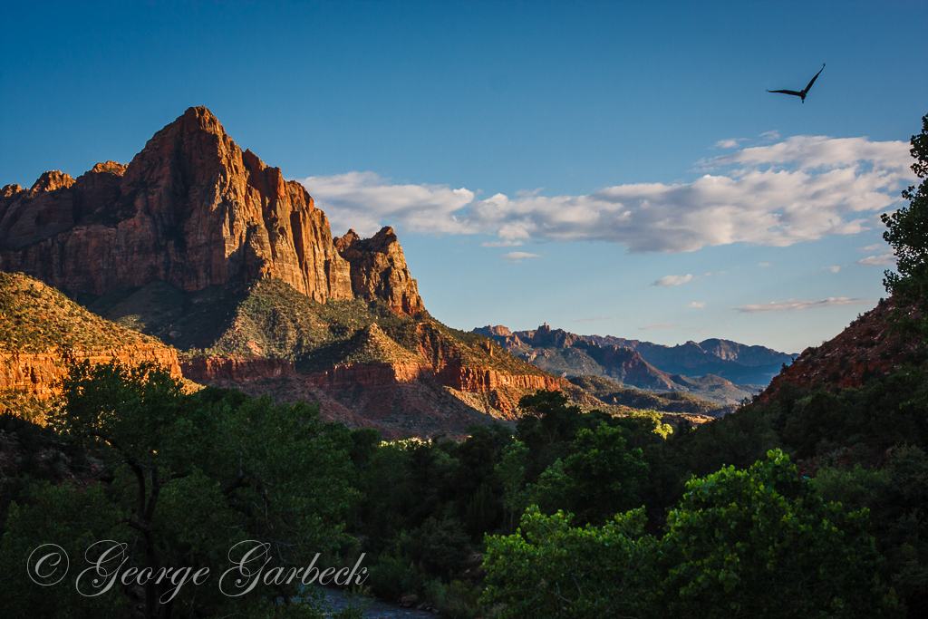 Zion