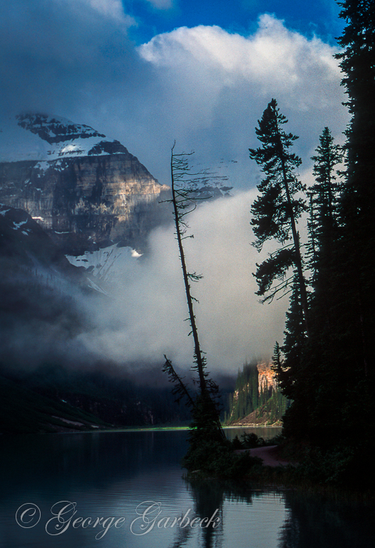 lake louise canadian rockies