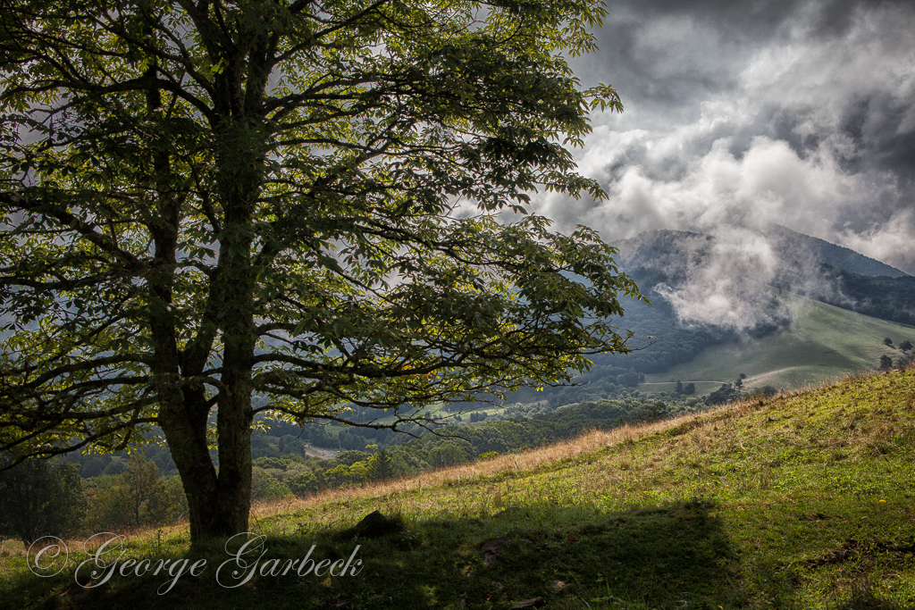 Hemphill Bald, Smokey Mtns.