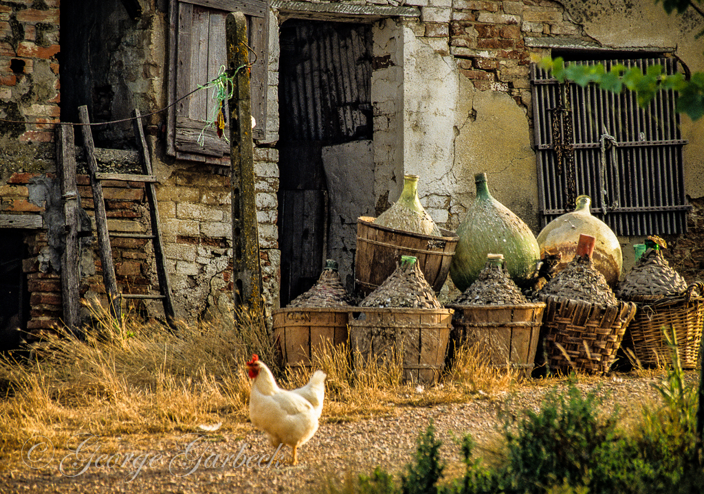 Tuscan Farm