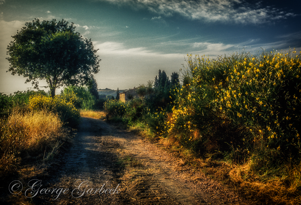 Tuscan Back Road
