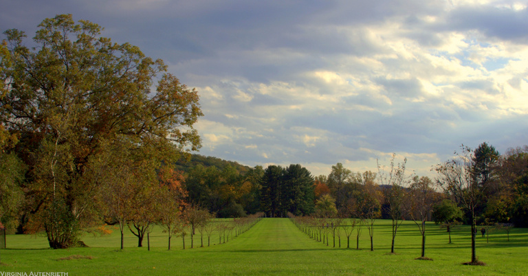 Virginia Autenrieth