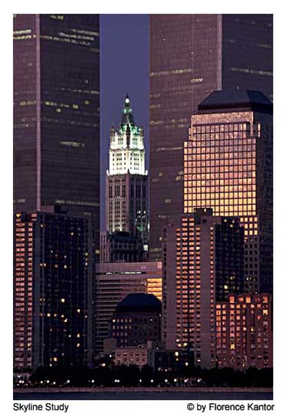 Skyline Study