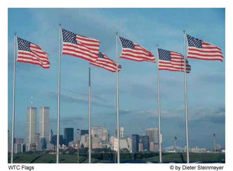 WTC flags