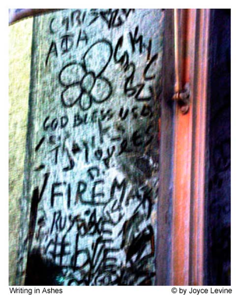 Writinginashes1