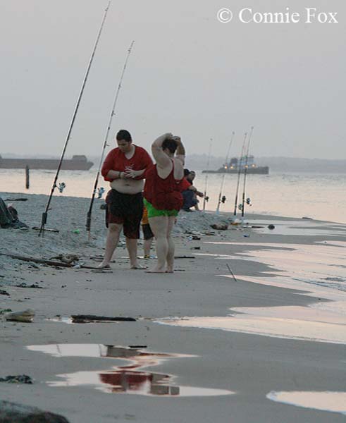  bay