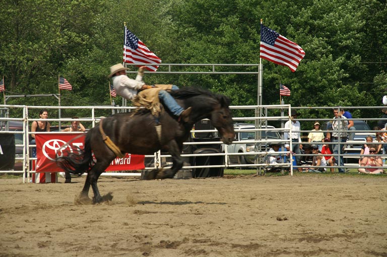 2008 06 08 Rodeo