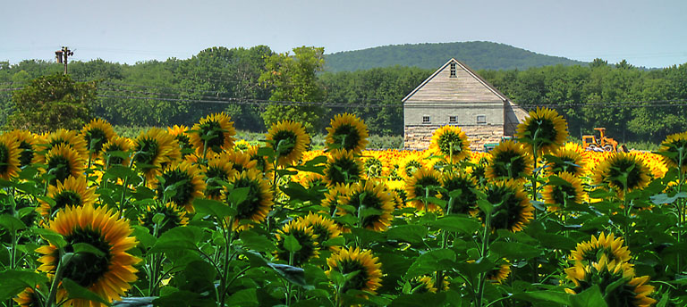 IMG 0906 7 8 tonemapped s r