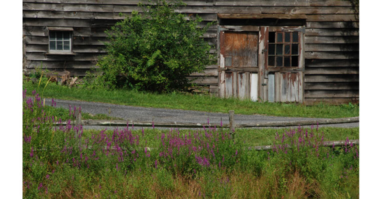 DSC 0155 edited 1