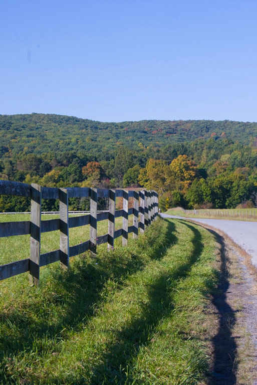 Fence