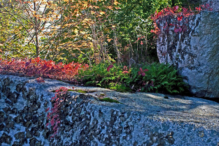 IMG 2257 edited 2