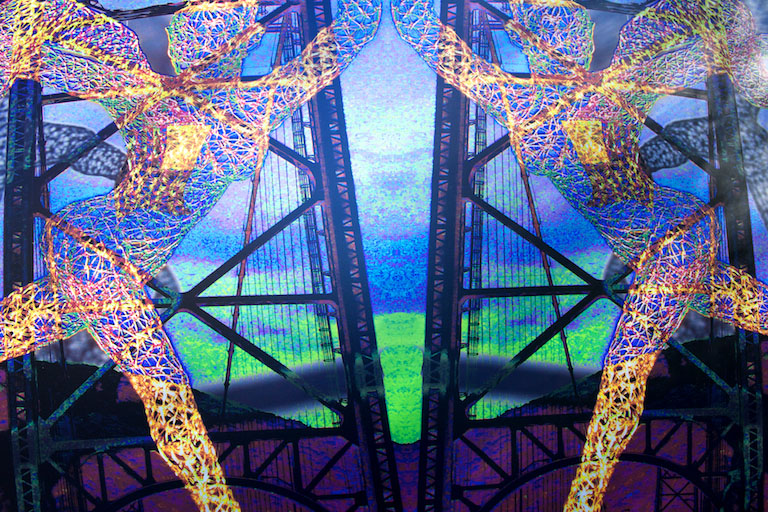 Dsc 2216.jpeg