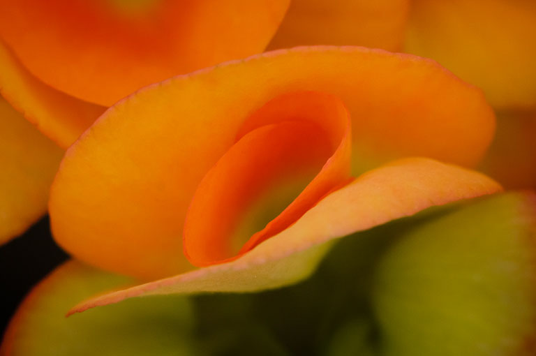  dsc0234 2