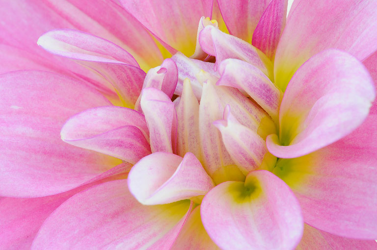  dsc5975 001 fm w