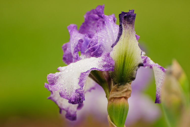 20110522 138