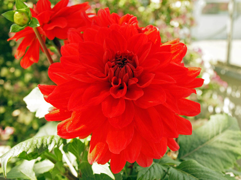 P1012393 6013