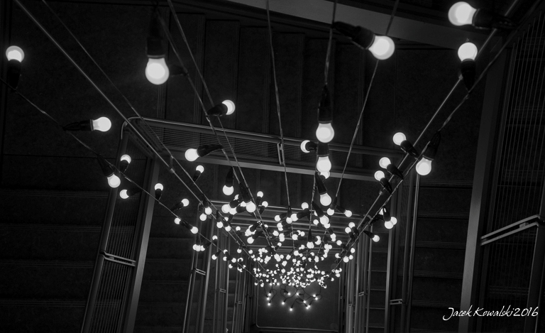 Untitled 3