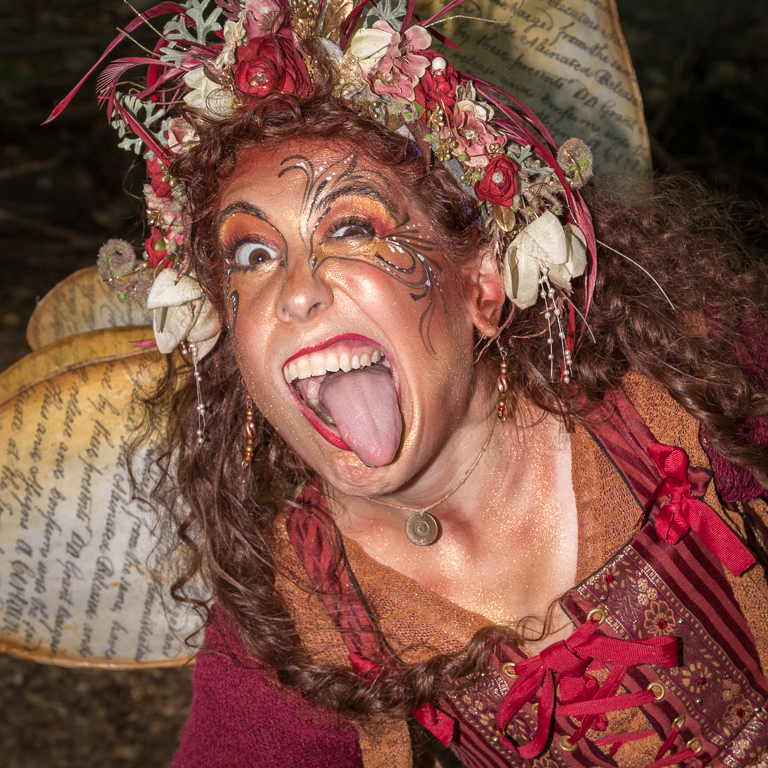 A Crazy Fairy