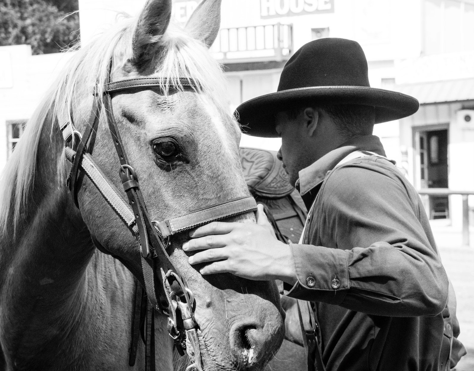 Armando Arturo