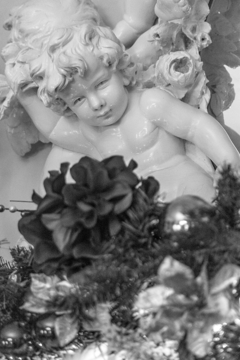 2018 12 08 Ringwood Manor