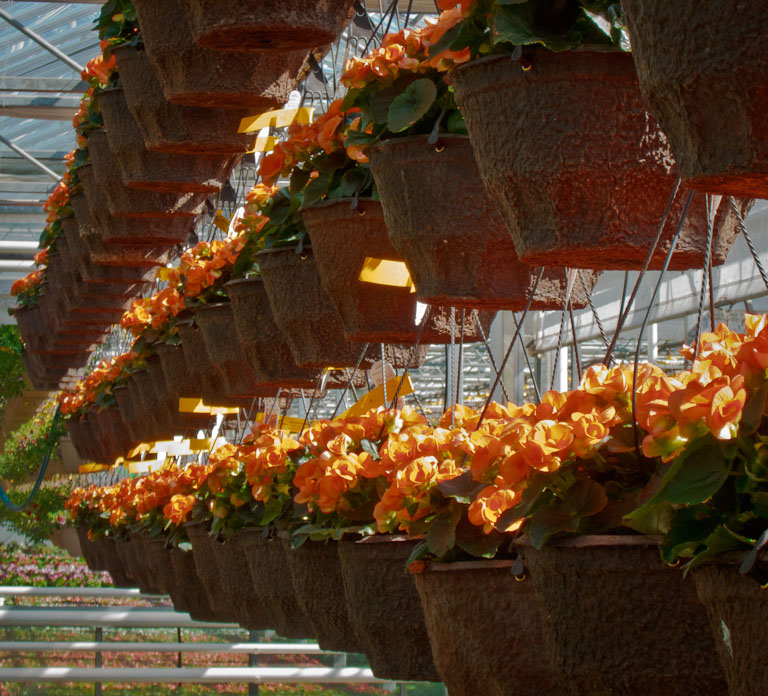 1104 secorfarms 002