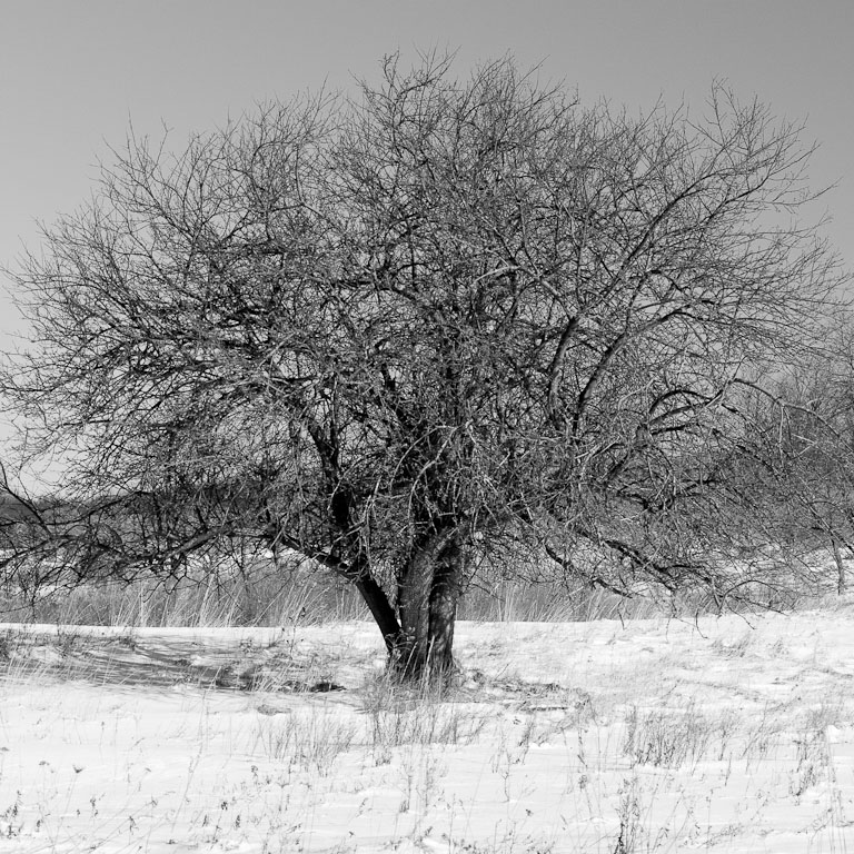 Blackwater Falls January 13 15 2011