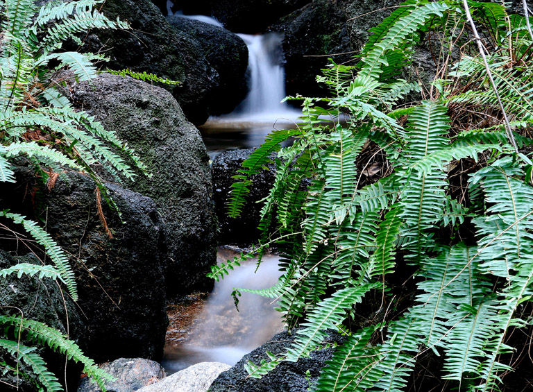 CWsmallFalls