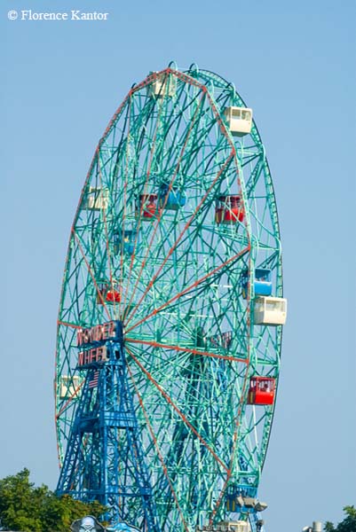  DSC2310
