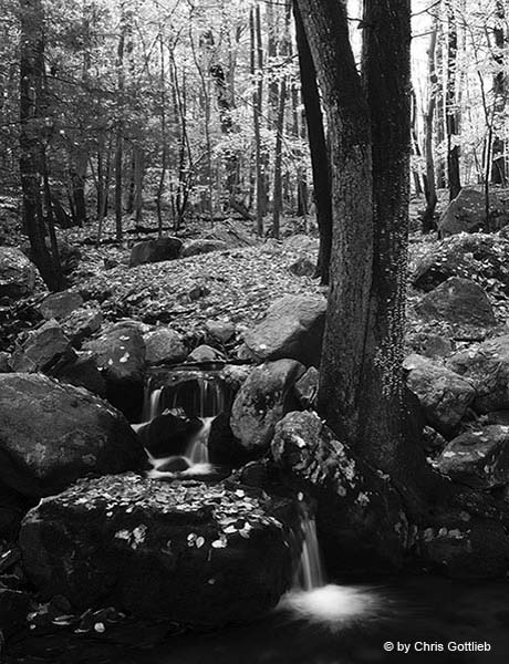 Harriman State Park October 16 2004
