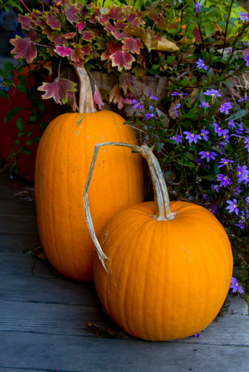 Pumpkins