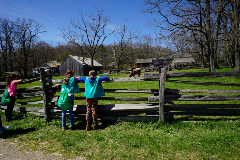 Powell Farm