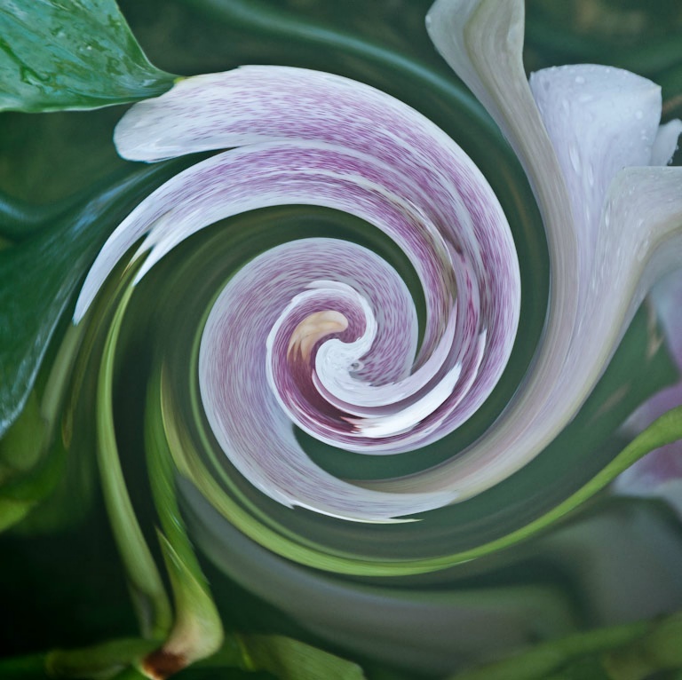 2011 03 13 longwoodgarden 27 edit