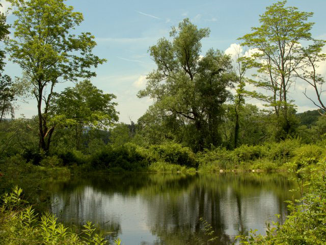 Img 2436.cr2
