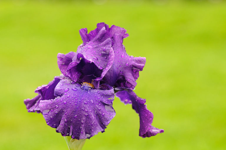 20110522 035
