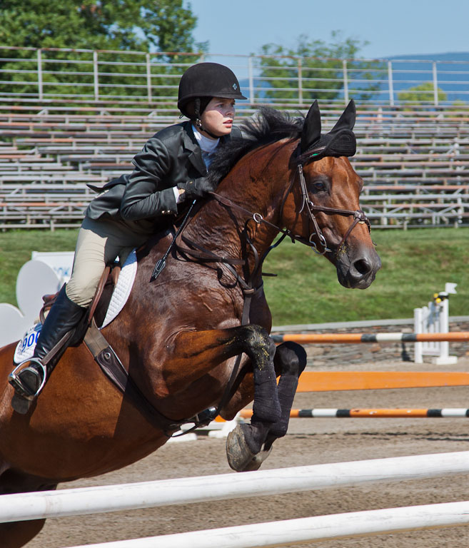 07 HorseJumping 9346