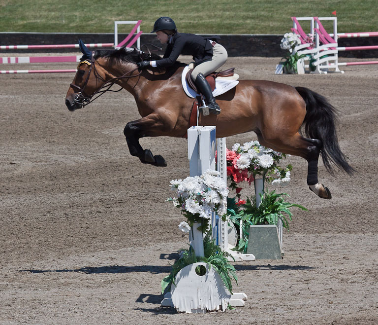 07 HorseJumping 9451