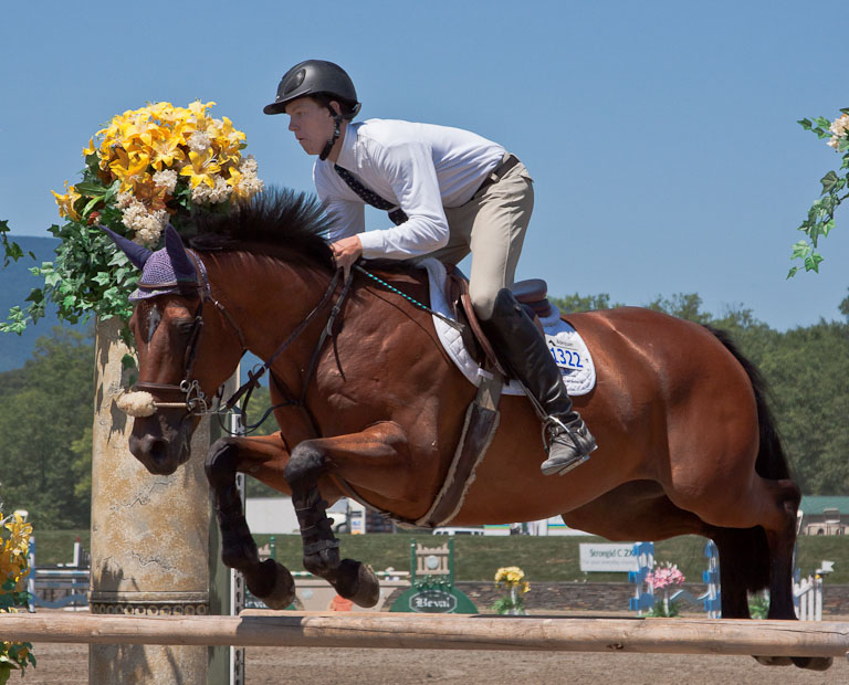 07 HorseJumping 9487