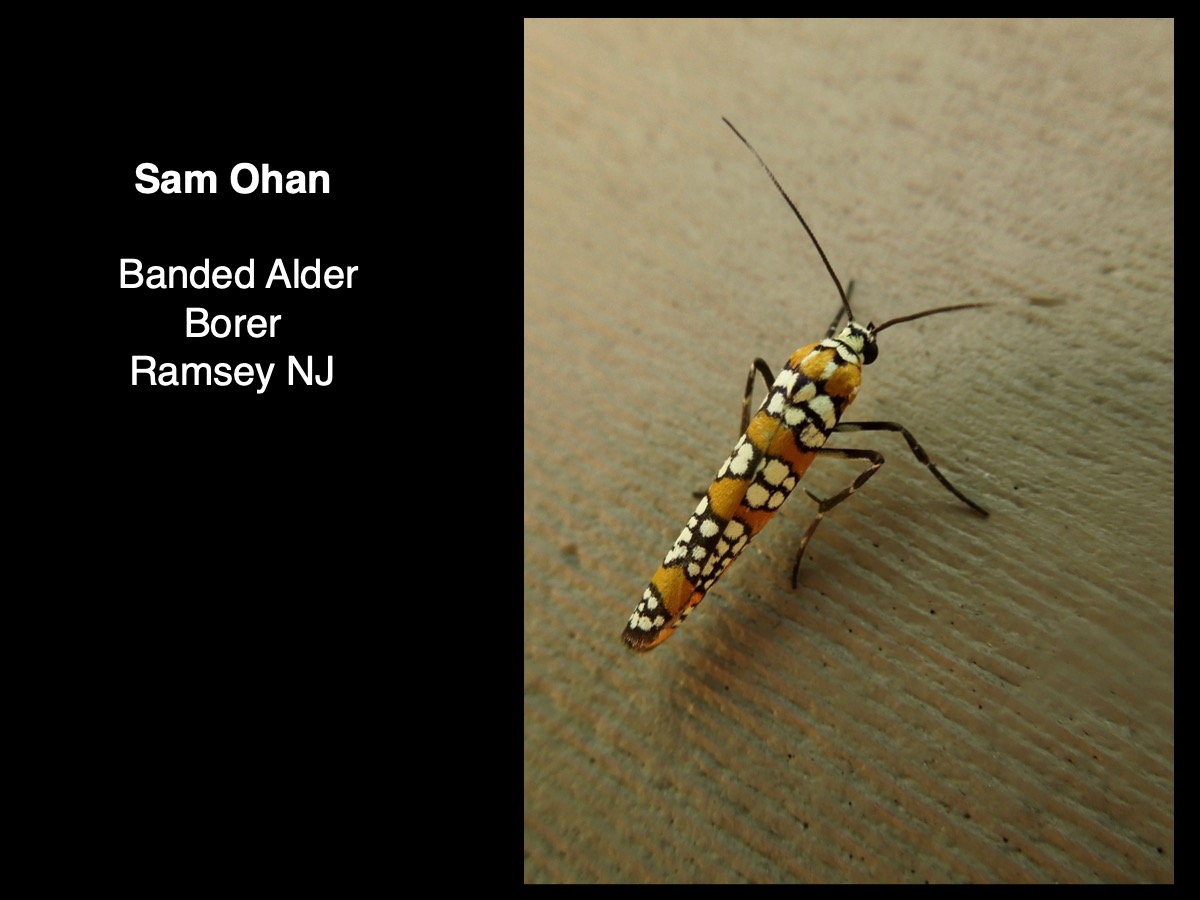 Slide053