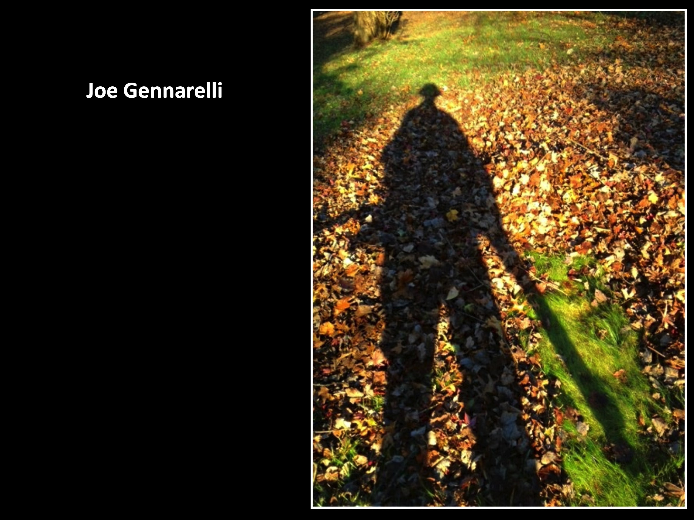 Slide031