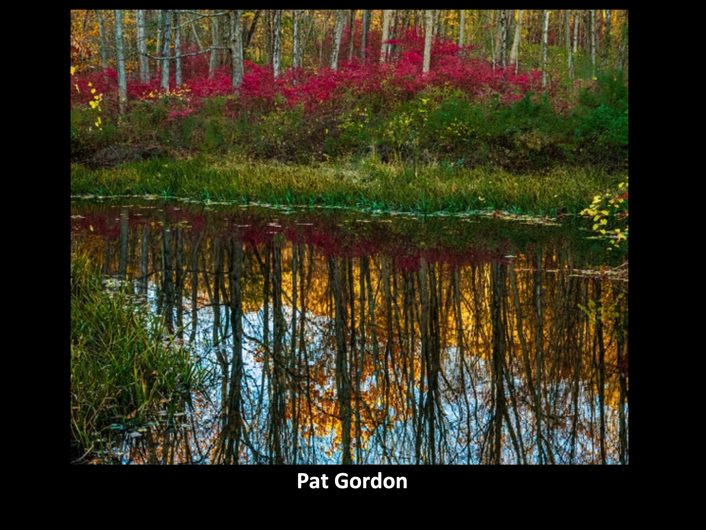 Slide039