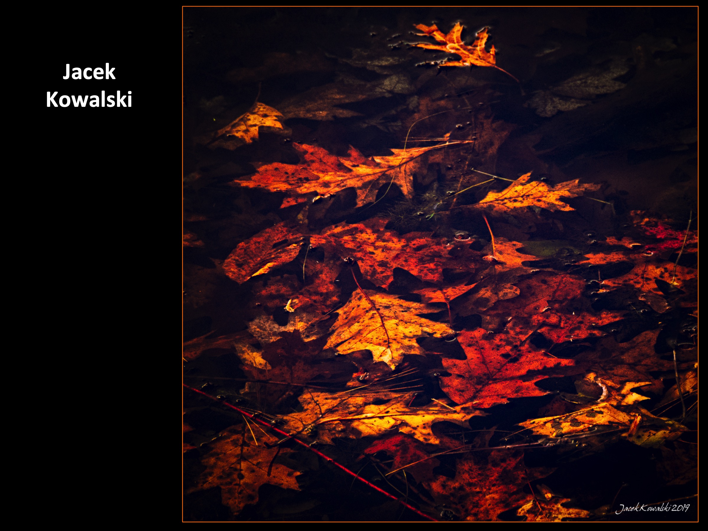 Slide049