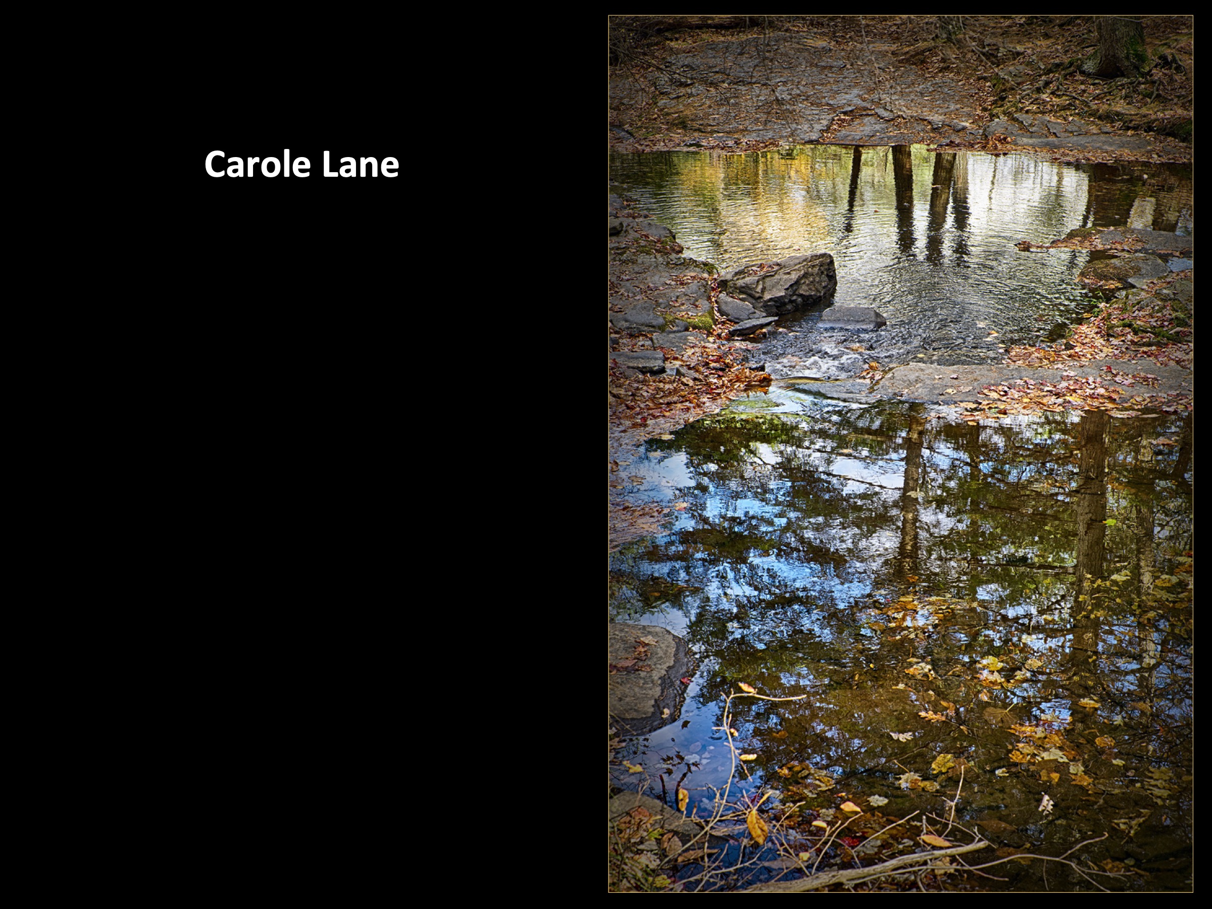Slide054