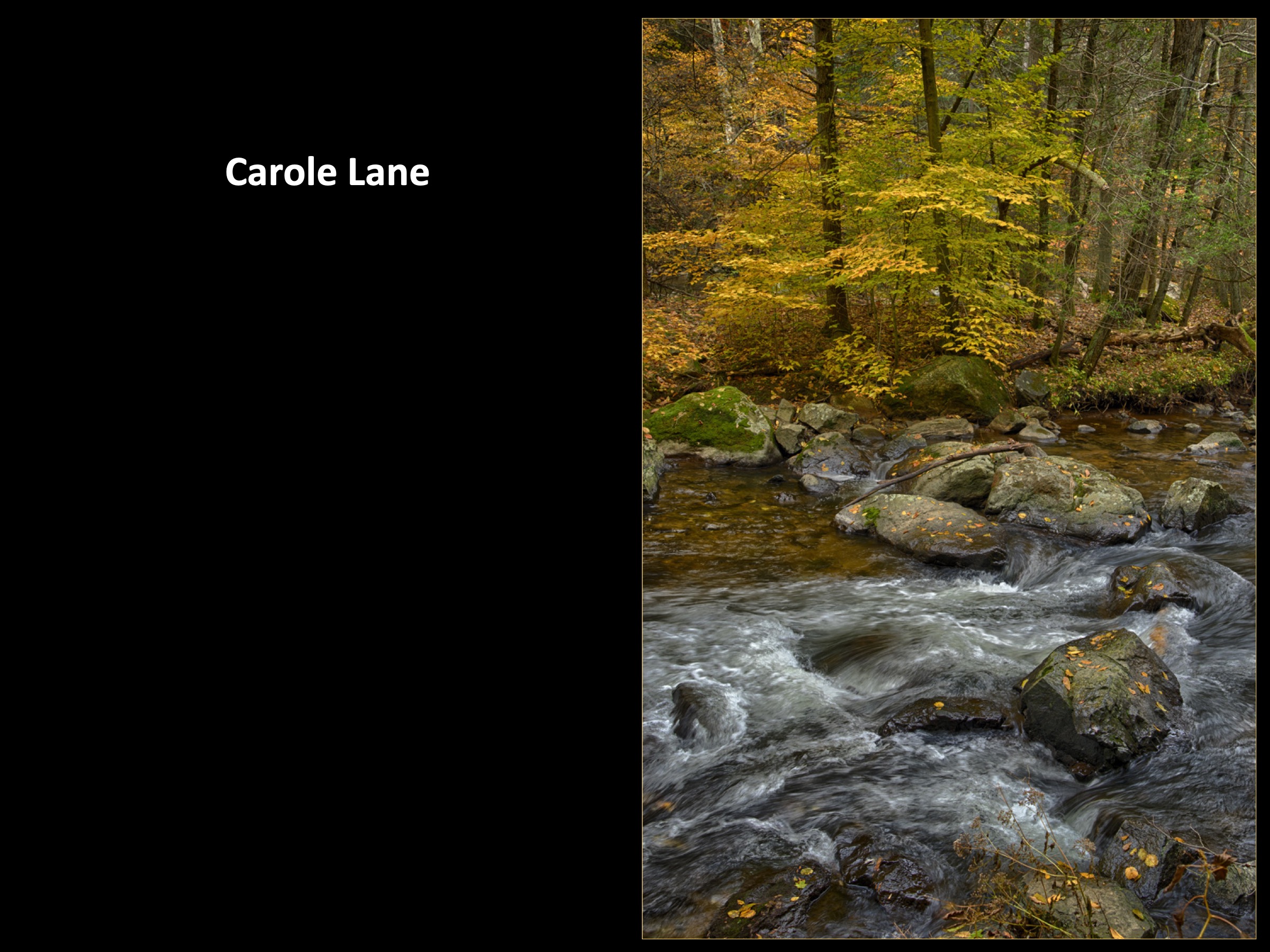 Slide058