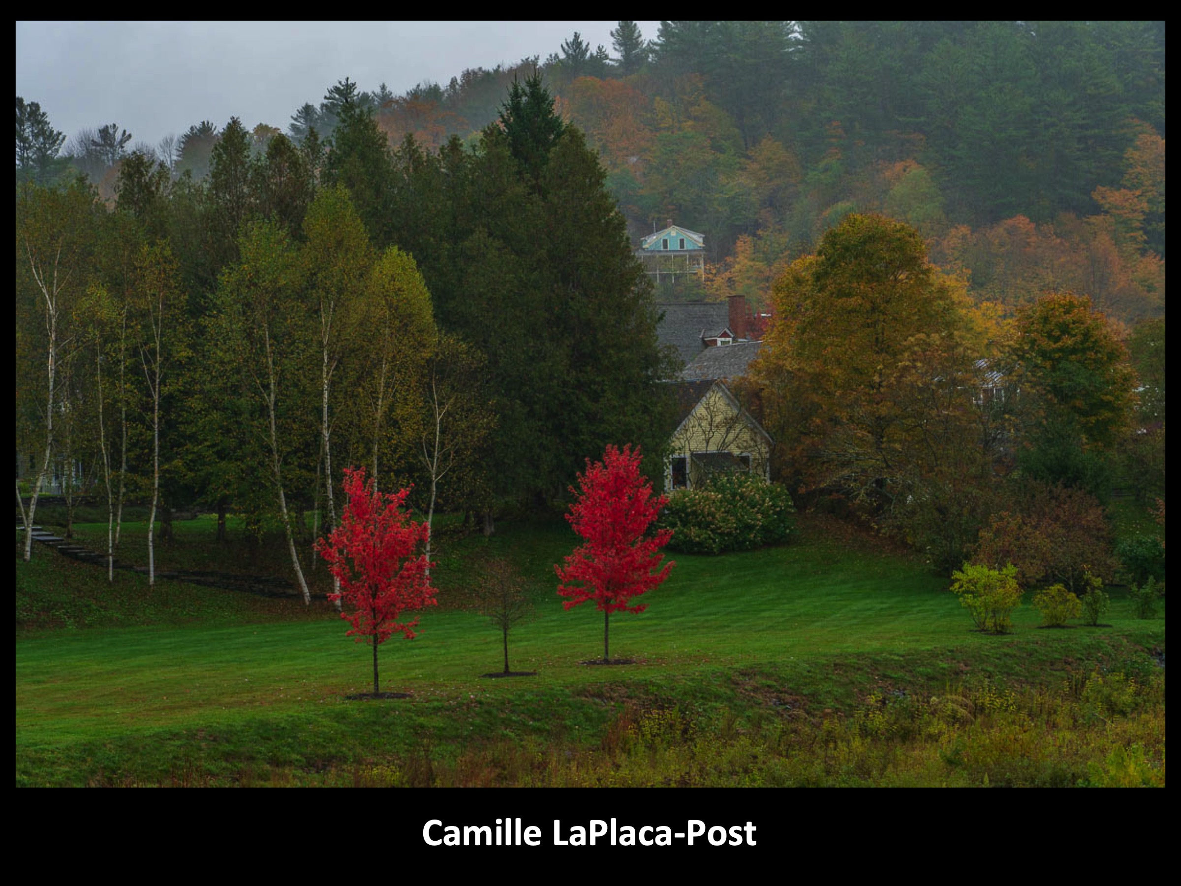 Slide060